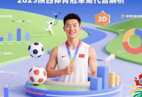 2025陕西体育冠军代言费用全解析